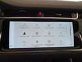 Land Rover Range Rover Evoque Range Rover Evoque 2.0D I4 163 CV AWD Auto SE - I Bianco - thumbnail 36