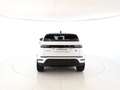 Land Rover Range Rover Evoque Range Rover Evoque 2.0D I4 163 CV AWD Auto SE - I Bianco - thumbnail 7