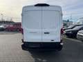 Ford Transit Kasten L3H2 Trend, 2.0 TDCi, Euro 6 Weiß - thumbnail 8