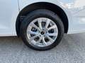 Ford Grand Tourneo Connect L2 Titanium 110 kW Weiß - thumbnail 16