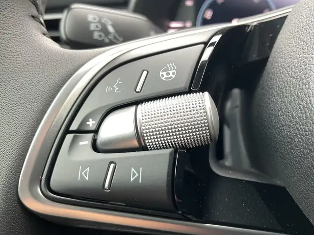 Skoda Kamiq view 14