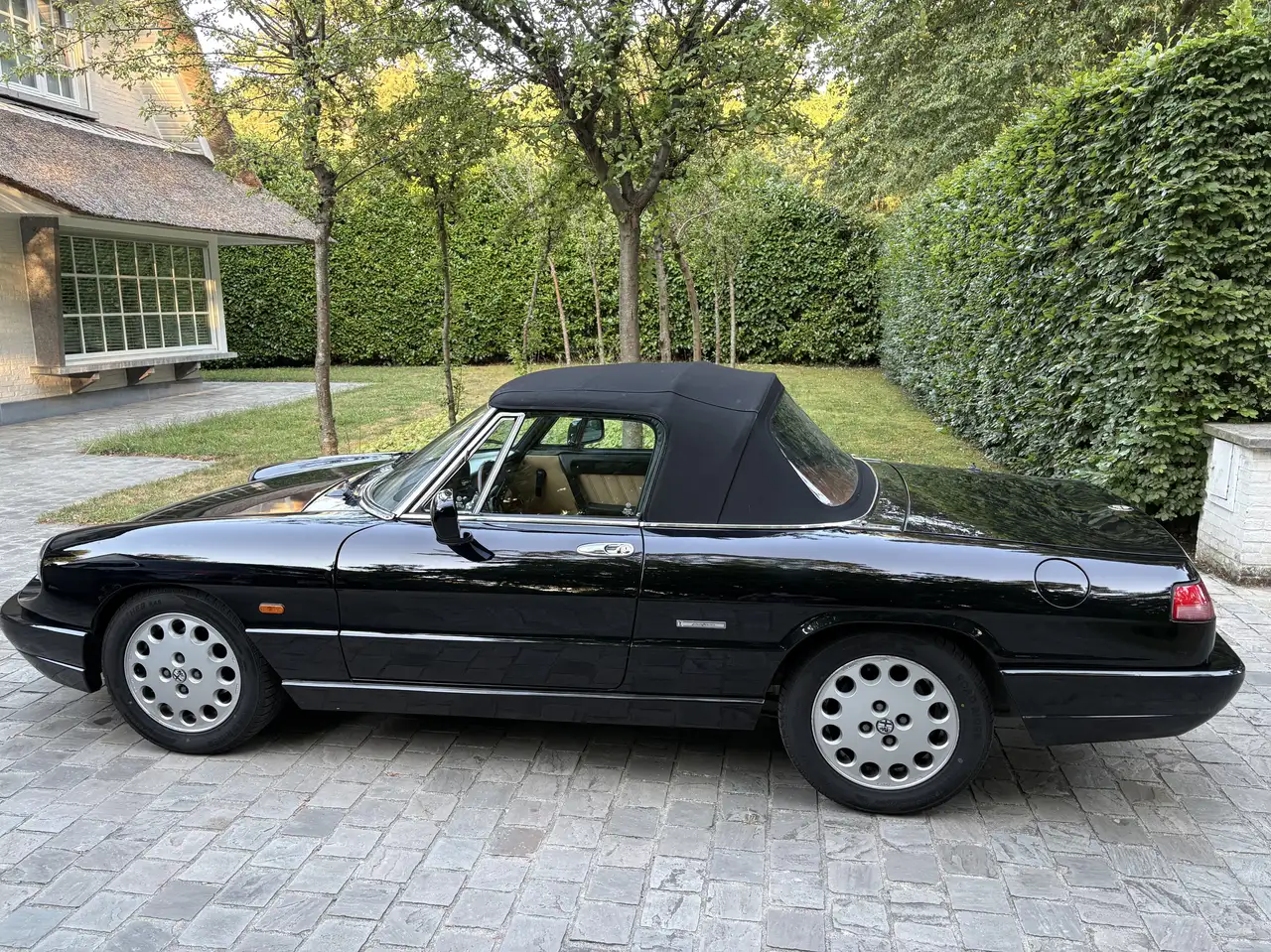Alfa Romeo Spider, foto 4