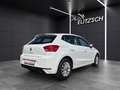 SEAT Ibiza 1.0 Reference LED Klima DAB PDC SHZ LM Weiß - thumbnail 5