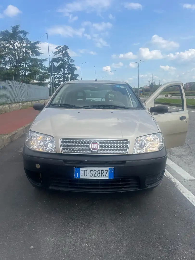 Fiat Punto 5p 1.2 Active Gpl Altın - 1