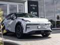 Zeekr X RWD Long Range 69 kWh Grau - thumbnail 20