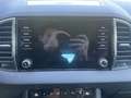 Skoda Karoq Tour 1,5TSI 110kW 6-Gang Navi LED Blendfreies Fern Zwart - thumbnail 17
