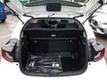Toyota Yaris 1.5 MHEV Active IN ARRIVO Bianco - thumbnail 7