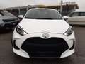 Toyota Yaris 1.5 MHEV Active IN ARRIVO Bianco - thumbnail 2