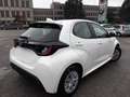 Toyota Yaris 1.5 MHEV Active IN ARRIVO Bianco - thumbnail 5
