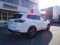 DR Automobiles DR7.0 DR 7.0 1.5 Plug-in Hybrid Weiß - thumbnail 5
