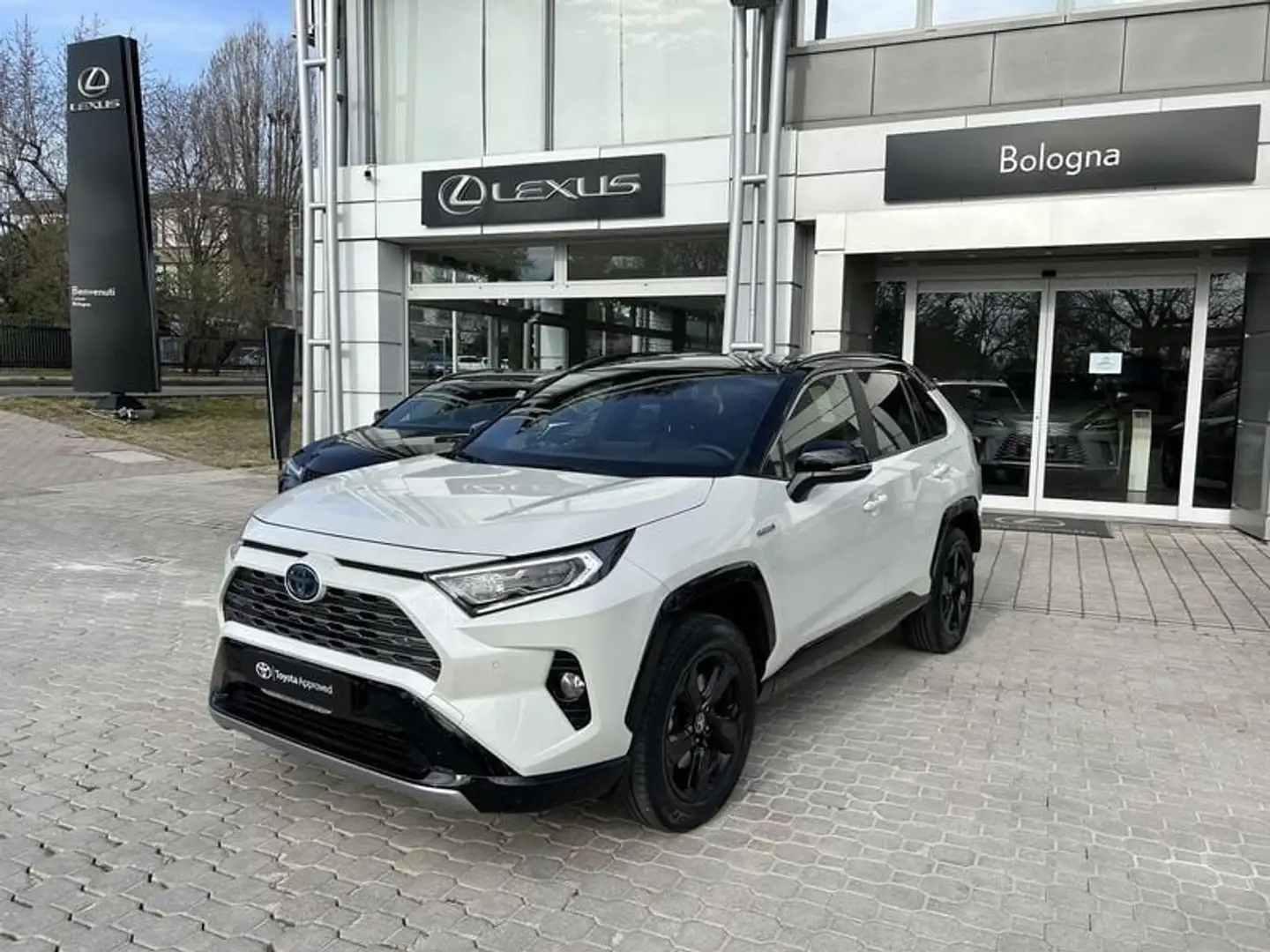 Toyota RAV 4 2.5 HV (218CV) E-CVT 2WD Style Bianco - 1