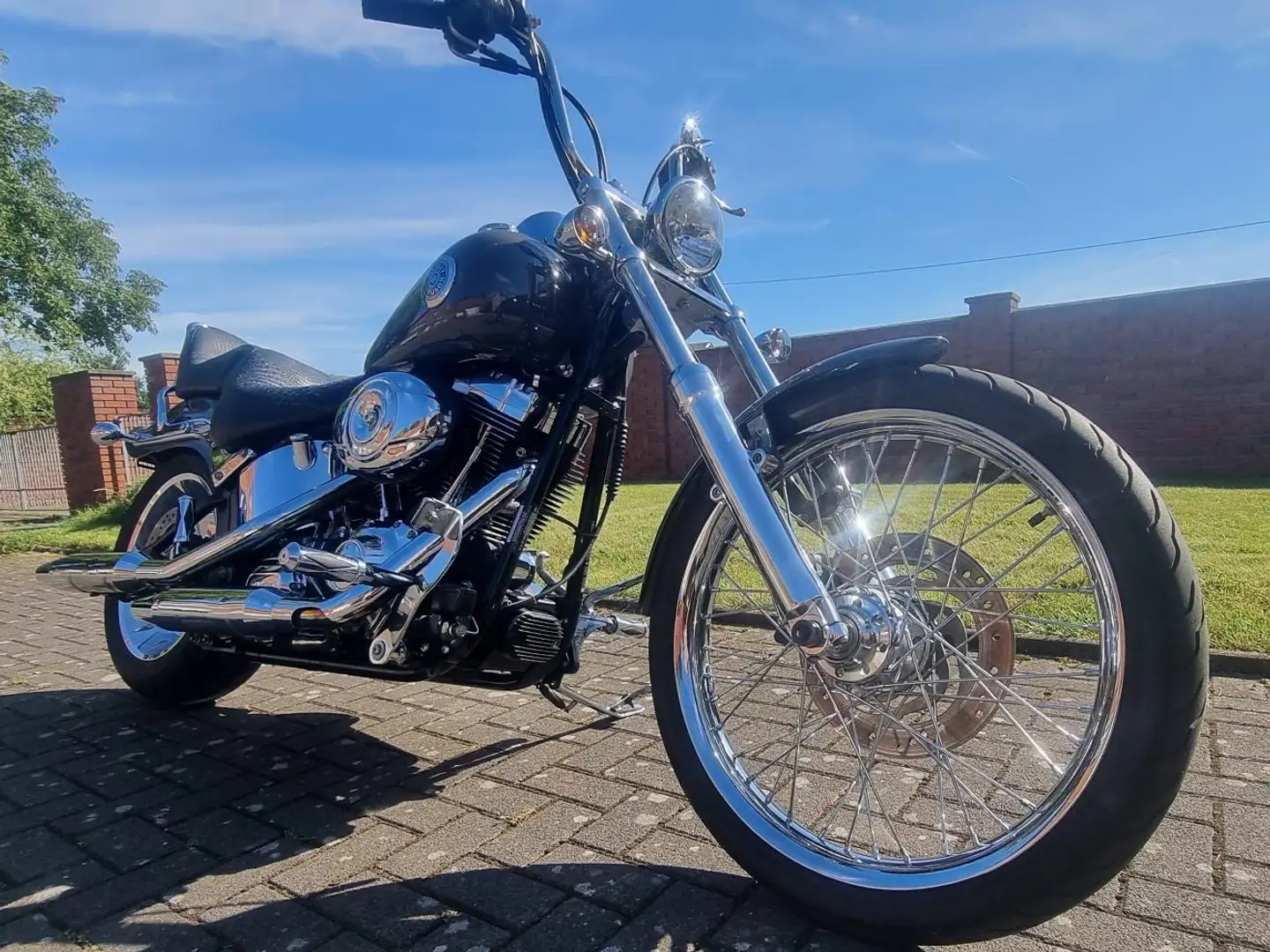 Harley-Davidson Softail Custom FXSTC Šedá - 1