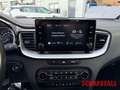 Kia Ceed SW / cee'd SW 1.6 GDI PHEV Vision Komfort-Paket LED Apple CarPla Verde - thumbnail 12