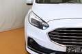 Ford Galaxy 2,0 EcoBlue SCR Titanium 7 Sitzer Weiß - thumbnail 5