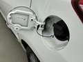 Toyota Yaris 1.5 Hybrid Design Sport | Lichtmetalen Velgen | Mi Blanc - thumbnail 32