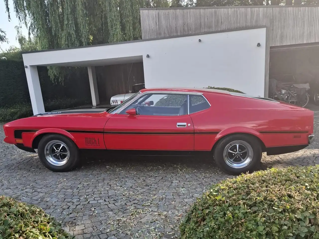 Ford Mustang Mach 1, foto 1
