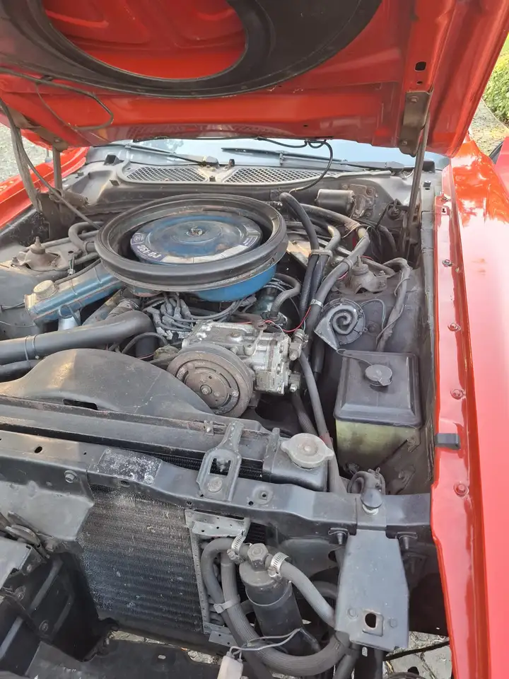 Ford Mustang Mach 1, foto 9