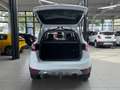 Ford Kuga 2.0TDCI *AUTOMATIK* Champions Edition *AHK* Weiß - thumbnail 8