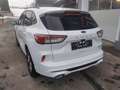 Ford Kuga 2,5 Duratec PHEV ST-Line X Aut. Weiß - thumbnail 3