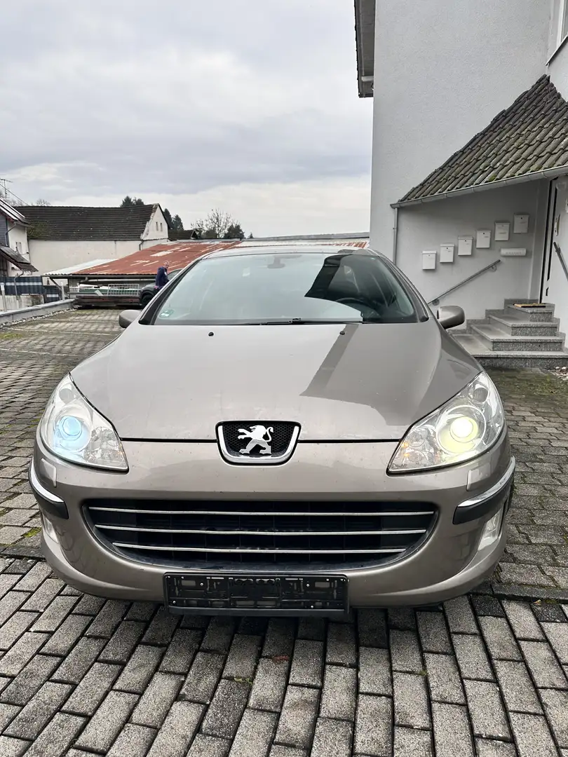 Peugeot 407 160 Platinum - 2