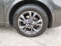 Ford Kuga 2.5 full hybrid ST-Line 2wd 190cv cvt PROMO ESTATE Grigio - thumbnail 8