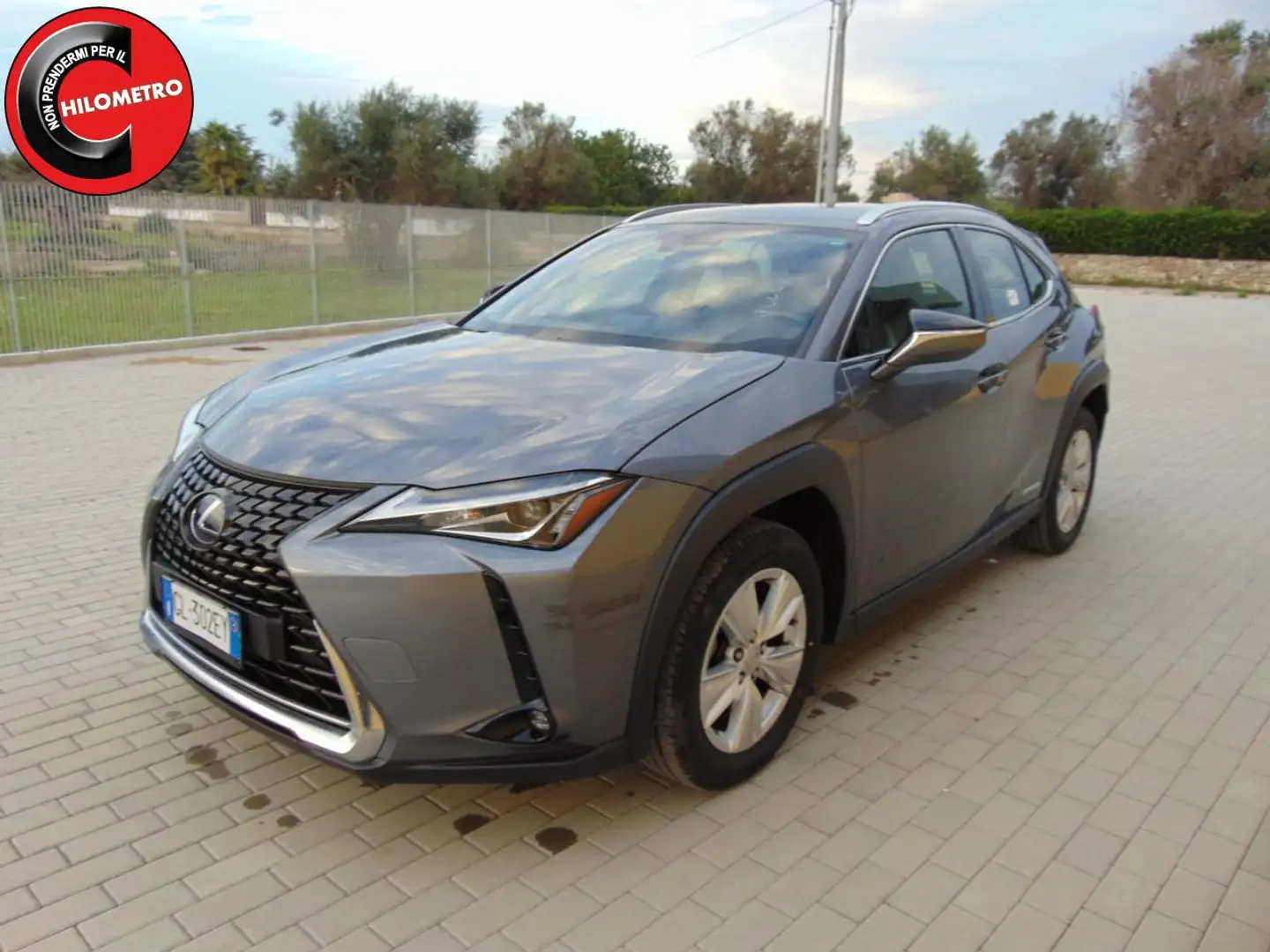 Lexus UX 250h UX 250h 2.0 Business Gris - 1