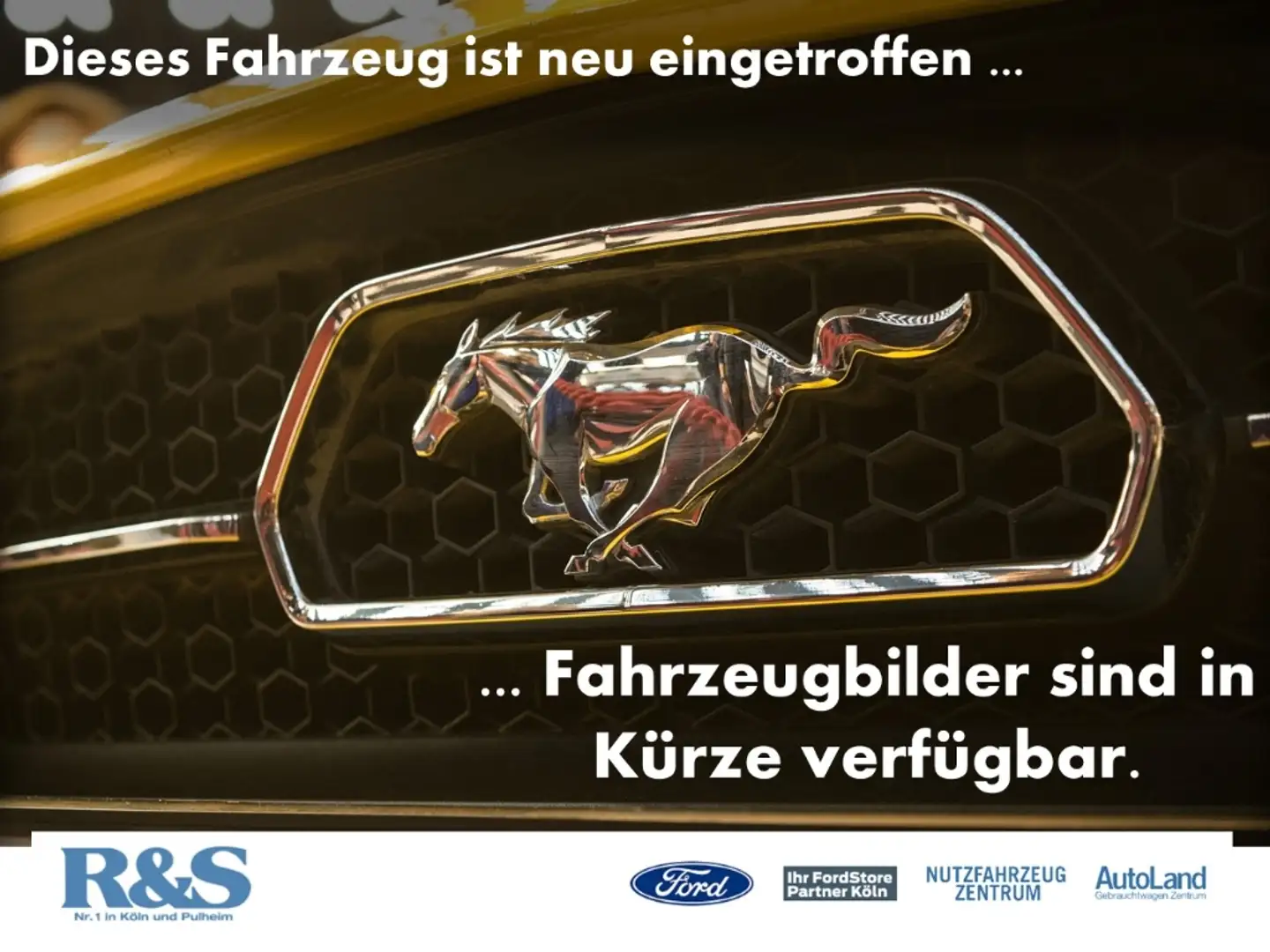 Ford Kuga Titanium+AHK+Kamera+Key-Free+Navi+Winter-P. Silber - 1