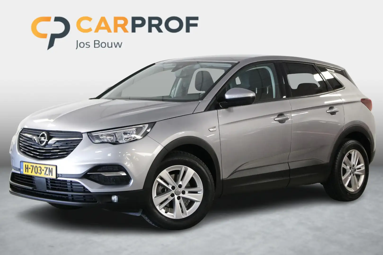 Opel Grandland X 1.2 Turbo 120 Jaar Edition Distr. Riem V.V. | Clim Grau - 1