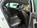 Volkswagen Polo CrossPolo BT 1.4 TDI DSG/EU6/Clima/LED/5-T Blanc - thumbnail 29
