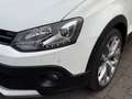 Volkswagen Polo CrossPolo BT 1.4 TDI DSG/EU6/Clima/LED/5-T Blanc - thumbnail 7