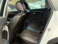 Volkswagen Polo CrossPolo BT 1.4 TDI DSG/EU6/Clima/LED/5-T Blanc - thumbnail 30