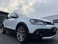 Volkswagen Polo CrossPolo BT 1.4 TDI DSG/EU6/Clima/LED/5-T Blanc - thumbnail 8