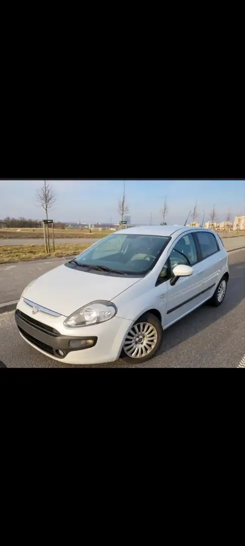 Fiat Punto Evo 5p 1.3 mjt Dynamic 75cv Bianco - 2