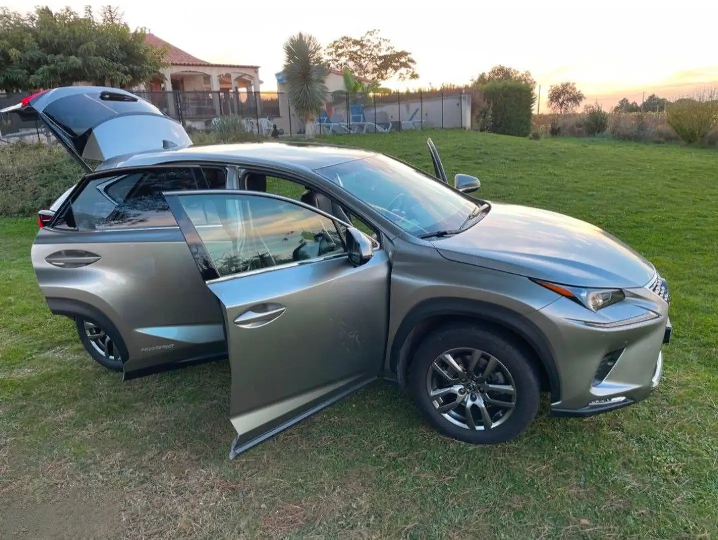 Lexus NX 300h NX 300h 4WD Luxe Gris - 2