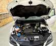 SEAT Ibiza Ibiza 1,2 TSI FR FR Weiß - thumbnail 7
