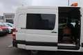 Mercedes-Benz Sprinter 316 CDI 1.Hand / SHZ / Autom. /Fzg Nr:5 Weiß - thumbnail 13