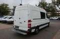 Mercedes-Benz Sprinter 316 CDI 1.Hand / SHZ / Autom. /Fzg Nr:5 Weiß - thumbnail 5