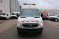 Mercedes-Benz Sprinter 316 CDI 1.Hand / SHZ / Autom. /Fzg Nr:5 Weiß - thumbnail 8