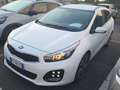 Kia Ceed / cee'd II SW 1.6 crdi GT Line 136cv dct Bianco - thumbnail 2