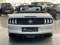 Ford Mustang Convertible 5.0 Ti-VCT GT Aut. Bianco - thumbnail 12