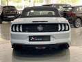 Ford Mustang Convertible 5.0 Ti-VCT GT Aut. Weiß - thumbnail 7