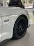 Ford Mustang Convertible 5.0 Ti-VCT GT Aut. Bianco - thumbnail 5
