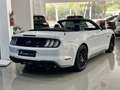 Ford Mustang Convertible 5.0 Ti-VCT GT Aut. Blanco - thumbnail 13