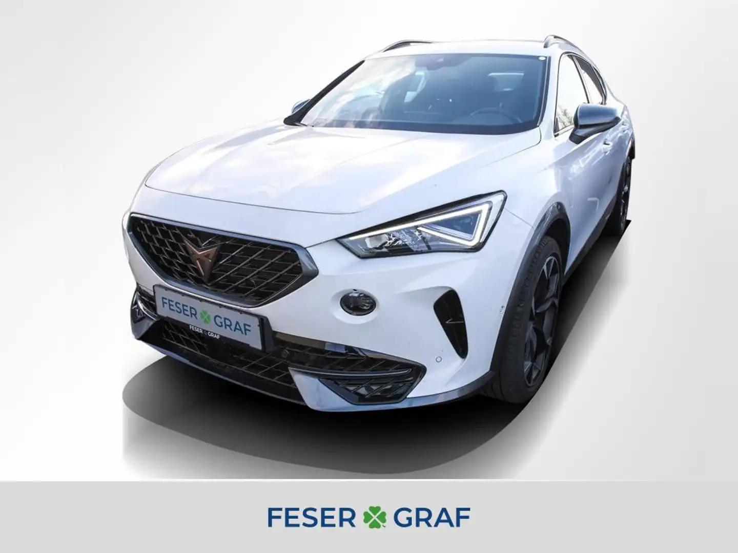 CUPRA Formentor VZ 2.0 TSI DSG Navi Kamera LED SiHz Weiß - 1
