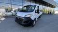 Opel Movano L3 BlueHDI 165 S&S 3,5t+ *Pritsche* Weiß - thumbnail 1