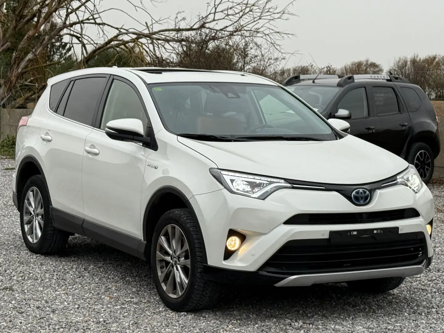 Toyota RAV 4 RAV4 Hybrid 2.5i 2WD - TOIT PANO - AUTO - 2