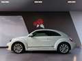 Volkswagen Beetle 1.2 TSI Cup Navi PDC Sitzheizung Wit - thumbnail 3