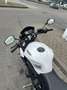 Triumph Street Triple S yoshimura - thumbnail 3