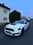 Ford Mustang Fastback 5.0 Ti-VCT V8 Aut. GT - US Import Weiß - thumbnail 1