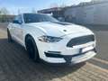 Ford Mustang Fastback 5.0 Ti-VCT V8 Aut. GT - US Import Weiß - thumbnail 11